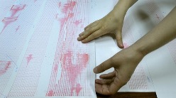 В Болгарии произошла серия землетрясений