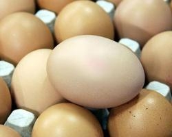 Экспорт болгарских яиц и молочных продуктов в Турцию возобновляется