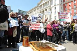 Премьер М. Райков: Болгария поддержит запрет на применение в ЕС пестицидов, уничтожающих пчел