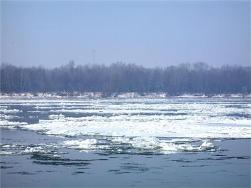 Уровень реки Дуная резко повысился