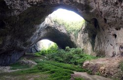 Численность летучих мышей в Деветашской пещере восстанавливается